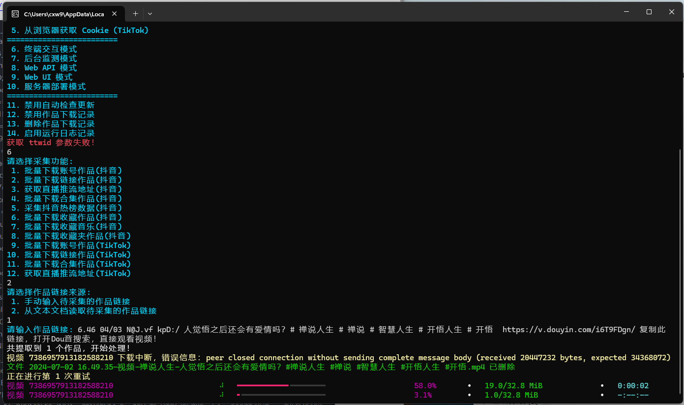 TikTokDownloader_2024-07-12_13-12-29